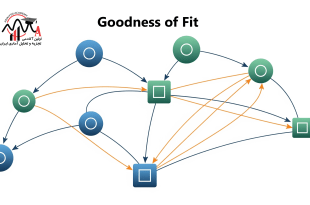 Goodness of Fit
